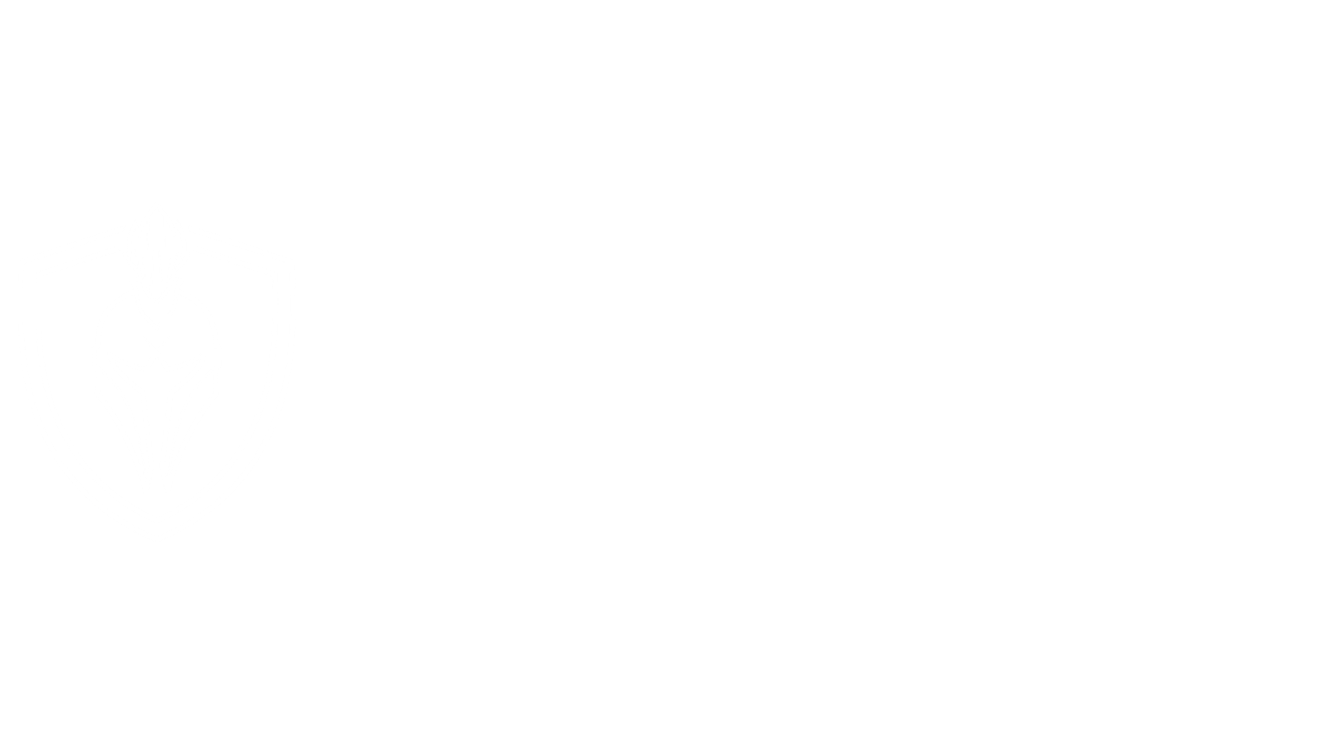 Mandox Audits